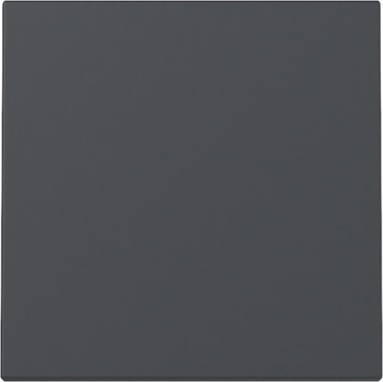 Gira 329628 Wippe System 55 Anthrazit