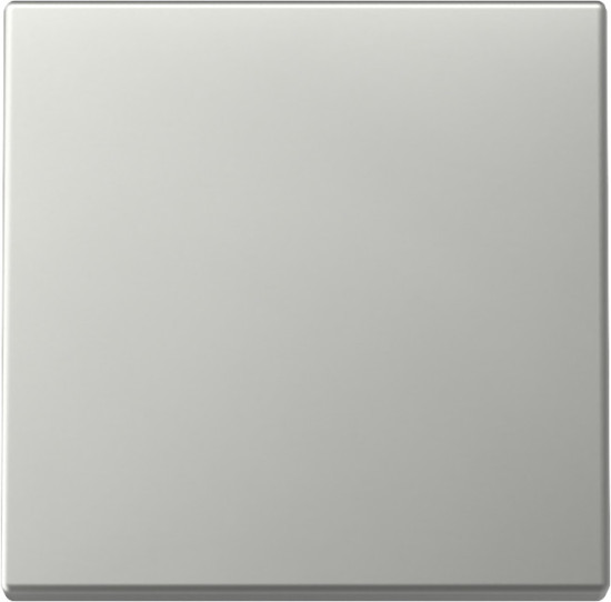 Gira 3296600 Wippe System 55 Edelstahl