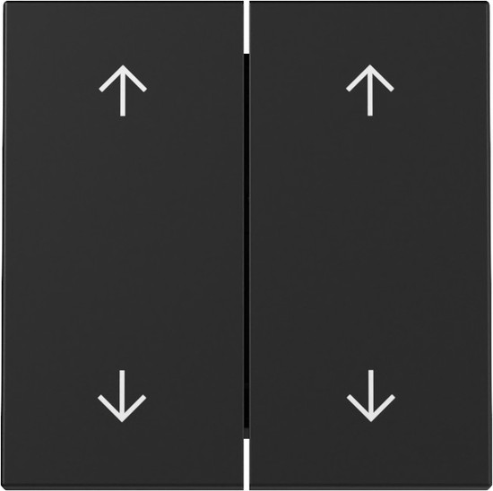 Gira 3297005 Wippe 2-fach Pfeile System 55 Schwarz m