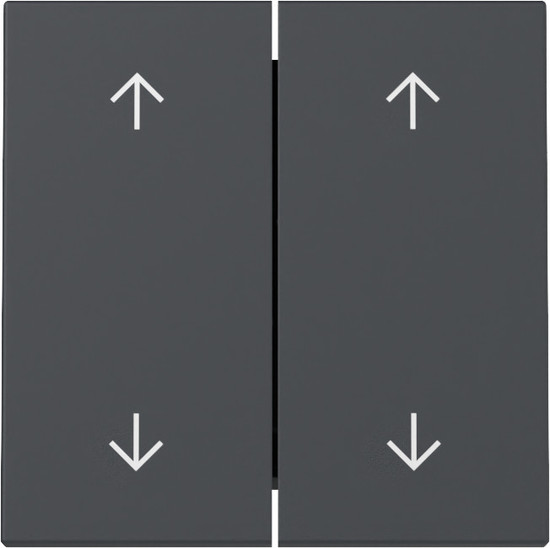 Gira 329728 Wippe 2-fach Pfeile System 55 Anthrazit