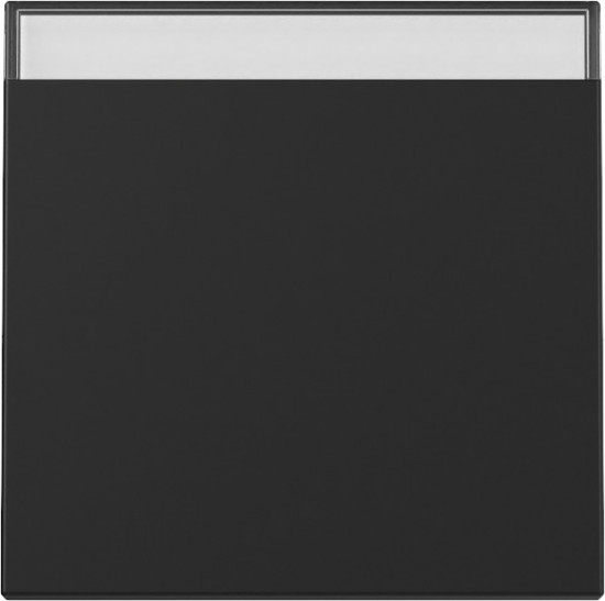 Gira 3299005 Wippe Beschriftungsfeld System 55 Schwarz m
