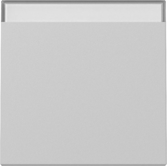 Gira 3299015 Wippe Beschriftungsfeld System 55 Grau m