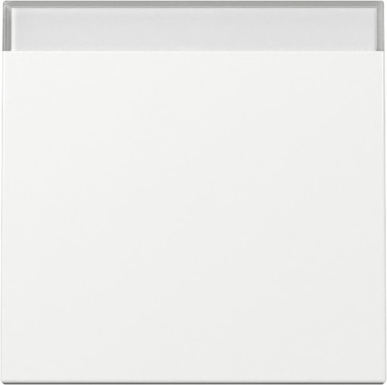 Gira 329903 Wippe Beschriftungsfeld System 55 Reinweiß