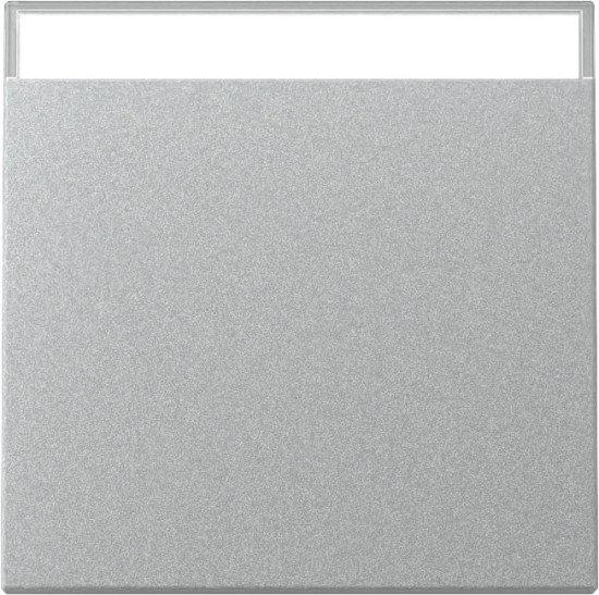 Gira 329926 Wippe Beschriftungsfeld System 55 F Alu