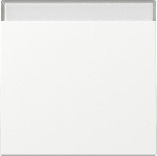 Gira 329927 Wippe Beschriftungsfeld System 55 Reinweiß m