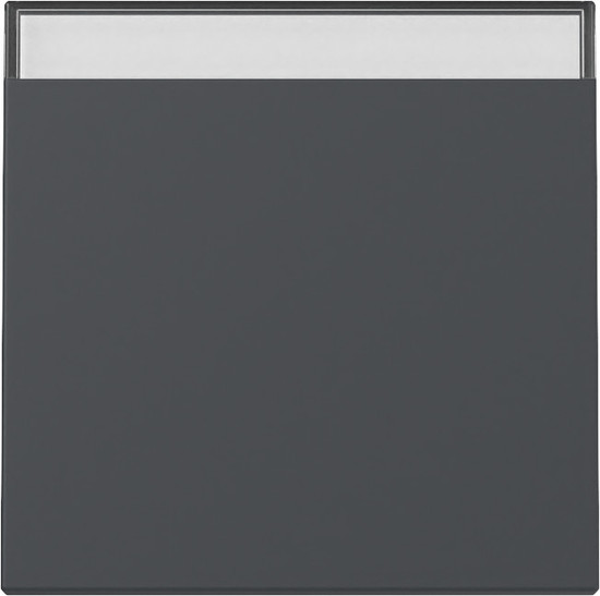 Gira 329928 Wippe Beschriftungsfeld System 55 Anthrazit