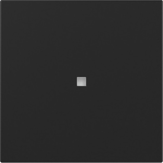 Gira 3490005 Wippe gerade Kontrollfür System 55 Schwarz m