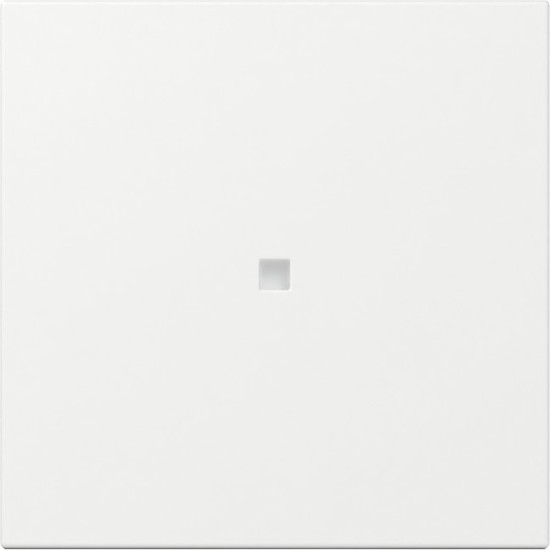 Gira 349003 Wippe gerade Kontrollfür System 55 Reinweiß