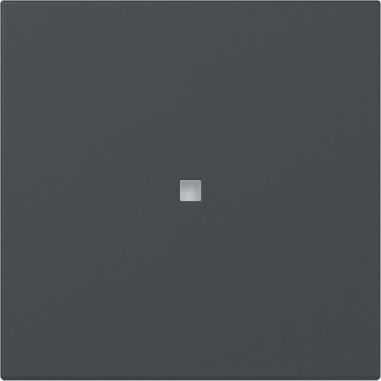 Gira 349028 Wippe gerade Kontrollfür System 55 Anthrazit