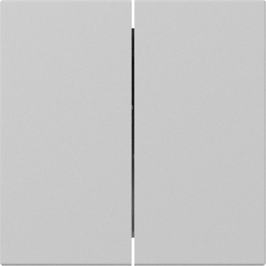 Gira 3495015 Wippe 2-fach gerade System 55 Grau m