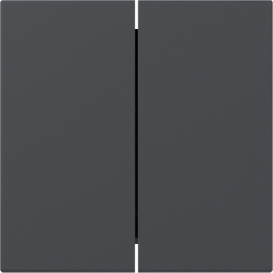 Gira 349528 Wippe 2-fach gerade System 55 Anthrazit