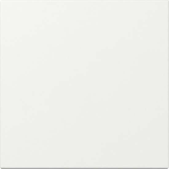 Gira 349603 Wippe gerade System 55 Reinweiß