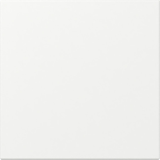 Gira 349627 Wippe gerade System 55 Reinweiß m