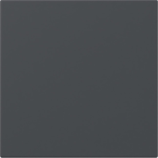 Gira 349628 Wippe gerade System 55 Anthrazit