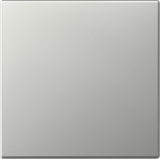 Gira 3496600 Wippe gerade System 55 Edelstahl