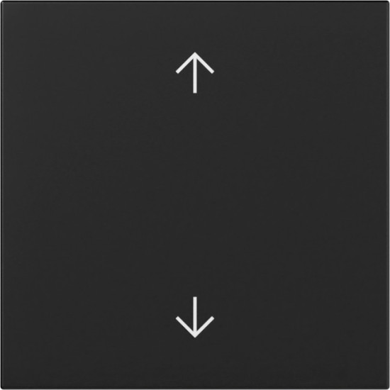 Gira 3616005 Wippe Pfeile System 55 Schwarz m