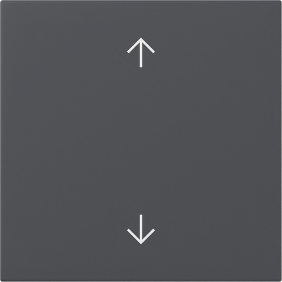 Gira 361628 Wippe Pfeile System 55 Anthrazit