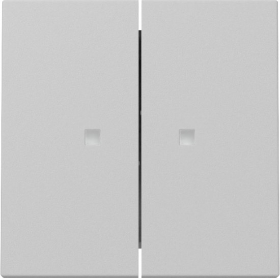 Gira 3631015 Wippe 2-fach Kontrollfür System 55 Grau m