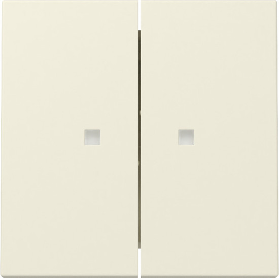 Gira 363101 Wippe 2-fach Kontrollfür System 55 Cremeweiß