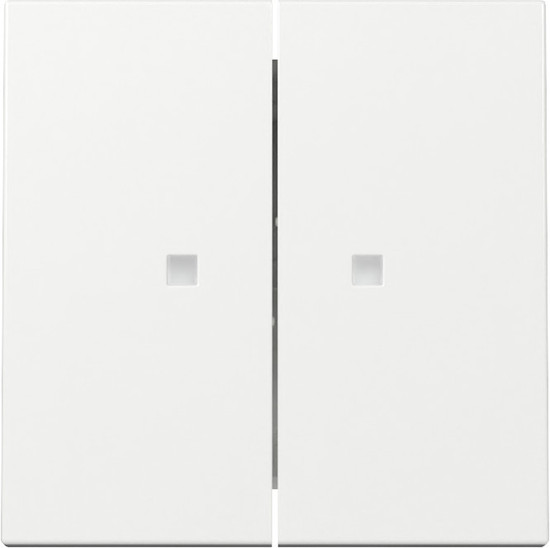 Gira 363103 Wippe 2-fach Kontrollfür System 55 Reinweiß