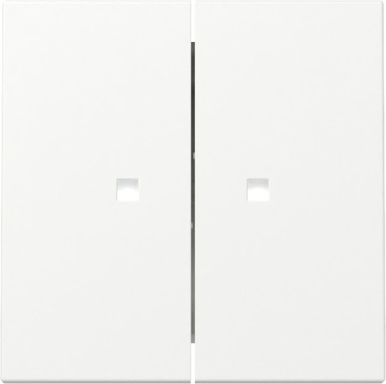 Gira 363127 Wippe 2-fach Kontrollfür System 55 Reinweiß m