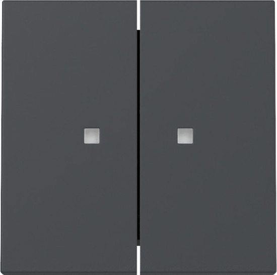 Gira 363128 Wippe 2-fach Kontrollfür System 55 Anthrazit