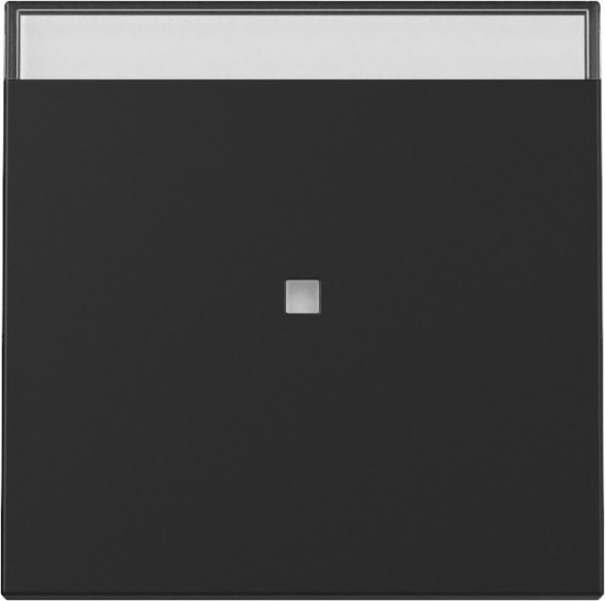Gira 3670005 Wippe Kontrollfür + Beschriftungsfeld System 55 Schwarz m