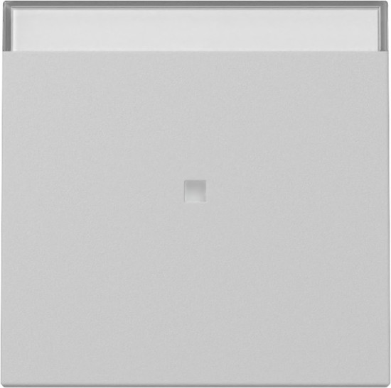 Gira 3670015 Wippe Kontrollfür + Beschriftungsfeld System 55 Grau m