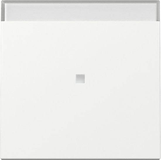 Gira 367003 Wippe Kontrollfür + Beschriftungsfeld System 55 Reinweiß