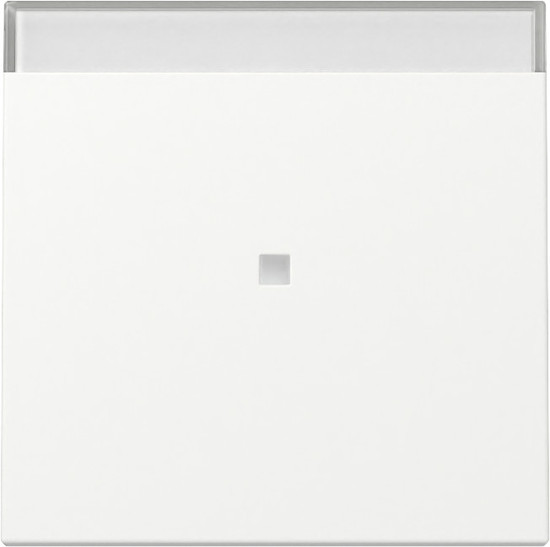 Gira 367027 Wippe Kontrollfür + Beschriftungsfeld System 55 Reinweiß m