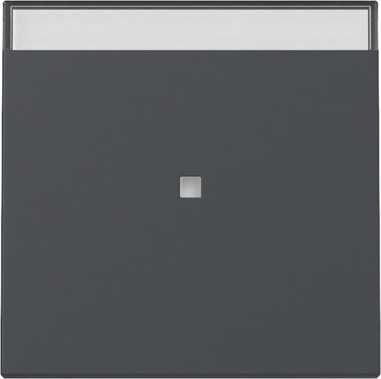 Gira 367028 Wippe Kontrollfür + Beschriftungsfeld System 55 Anthrazit