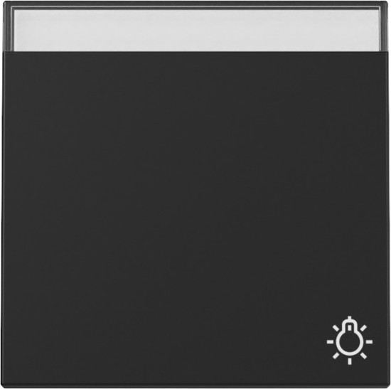 Gira 3673005 Wippe Symbol Klingel + Beschriftungsfeld System 55 Schwarz m