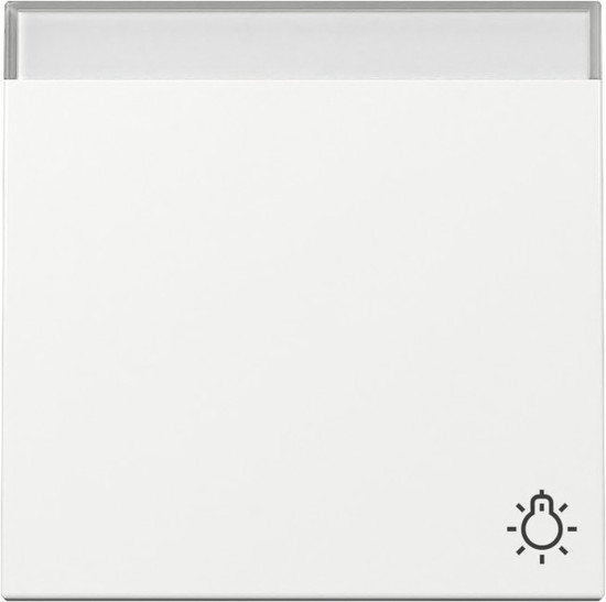 Gira 367303 Wippe Symbol Klingel + Beschriftungsfeld System 55 Reinweiß