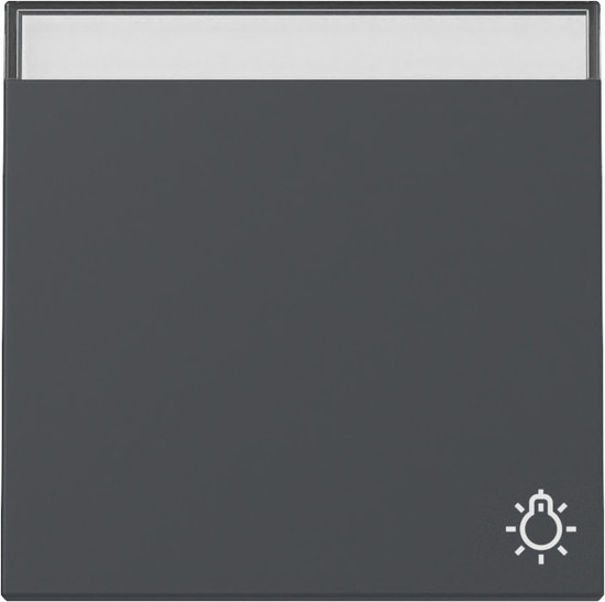 Gira 367328 Wippe Symbol Klingel + Beschriftungsfeld System 55 Anthrazit