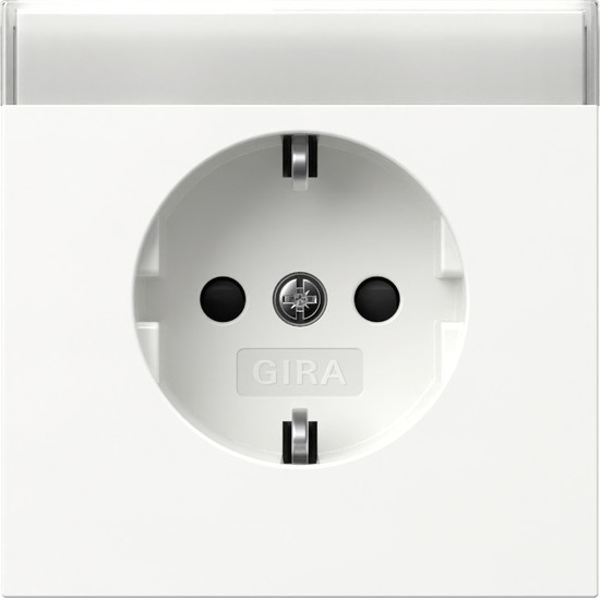 Gira 446270 SCHUKO-Steckdose Beschriftungsfeld + SP Flächenschalter Reinweiß