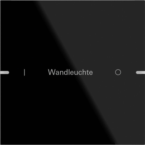 Gira 503105 Wippenset 1-fach individuell Tastsensensor 4.95 G Schwarz