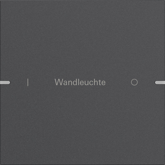 Gira 5031928 Wippenset 1-fach individuell Tastsensensor 4.95 Alum.Anthrazit(lack.)