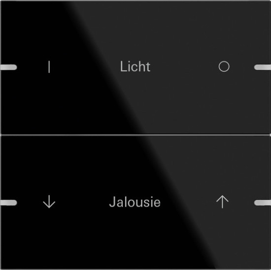 Gira 503205 Wippenset 2-fach individuell Tastsensensor 4.95 G Schwarz