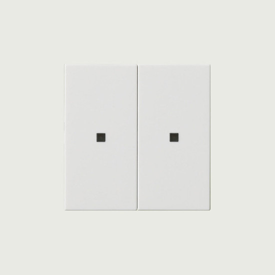 Gira 536903 Wippe 2-fach unbedruckt Kontrollfür System 55 Reinweiß