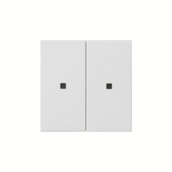 Gira 536927 Wippe 2-fach unbedruckt Kontrollfür System 55 Reinweiß m