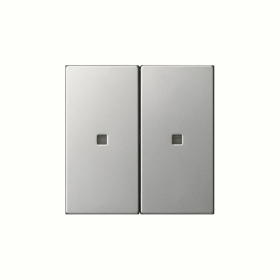 Gira 5369600 Wippe 2-fach unbedruckt Kontrollfür System 55 Edelstahl