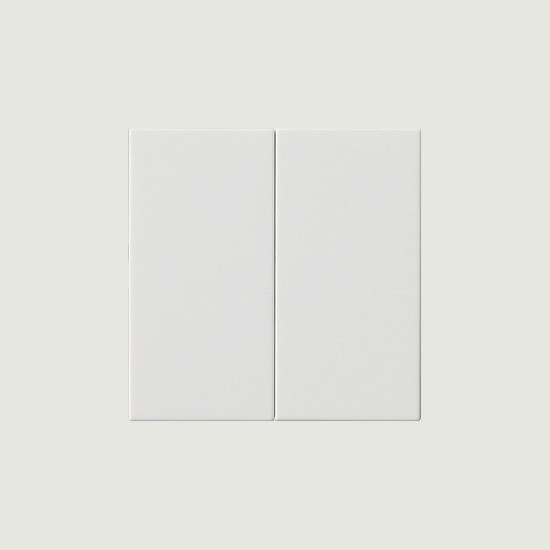 Gira 537003 Wippe 2-fach unbedruckt System 55 Reinweiß