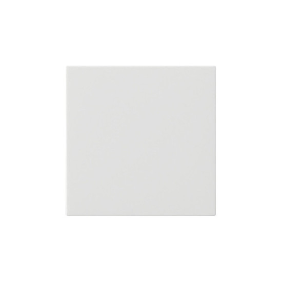 Gira 537203 Wippe 1-fach unbedruckt System 55 Reinweiß