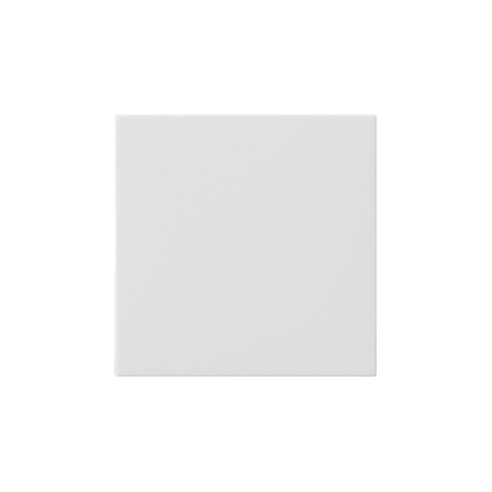 Gira 537227 Wippe 1-fach unbedruckt System 55 Reinweiß m