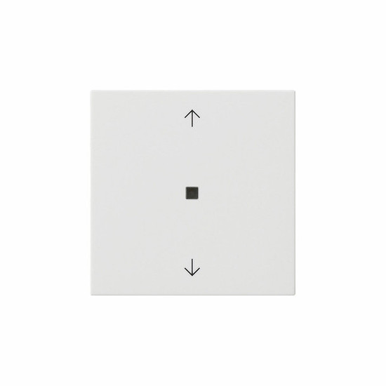 Gira 538203 S3000 BedienAufsatz Bluetooth Pfeile System 55 Reinweiß