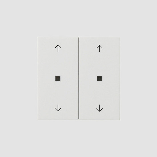 Gira 538603 Wippe 2-fach Pfeile Kontrollfür System 55 Reinweiß