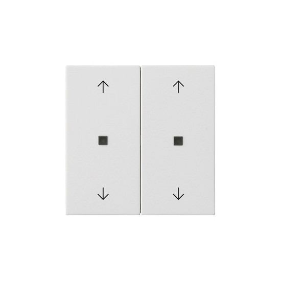 Gira 538627 Wippe 2-fach Pfeile Kontrollfür System 55 Reinweiß m