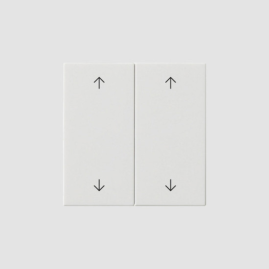 Gira 538703 Wippe 2-fach Pfeile System 55 Reinweiß