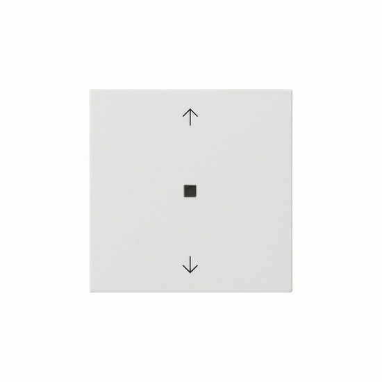 Gira 538803 Wippe 1-fach Pfeile Kontrollfür System 55 Reinweiß