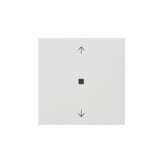 Gira 538827 Wippe 1-fach Pfeile Kontrollfür System 55 Reinweiß m